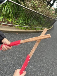 シーの思い出📷✨️