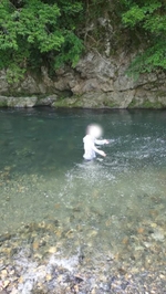 ｱﾘ！