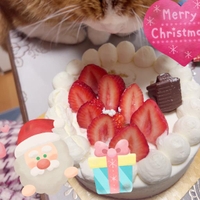 『邪魔してしまったら・・・』