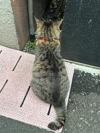 💎イケおじにしてあげようゾ💎
