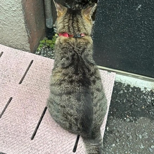 💎イケおじにしてあげようゾ💎