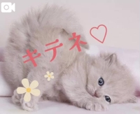 ❖8月の出勤予定❖