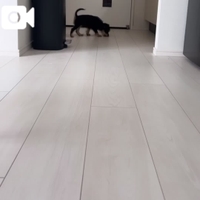 家族が増えました❣️