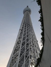 黄昏のスカイツリーは色気があった・・・