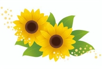 8月