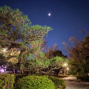 きれいな景色✨️