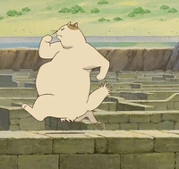 目指せ、背中美人⭐️