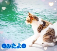 みたよ(*ˊ˘ˋ*)♡