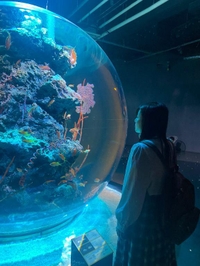 🐸🐸🐸🐸🐸🐸🐸🐸🐸🐸🐸🐸🐸🐸🐸🐸