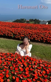 ごはん派？ぱん派？🍙🥖