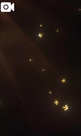 【🎥578】シエラの1日密着♪