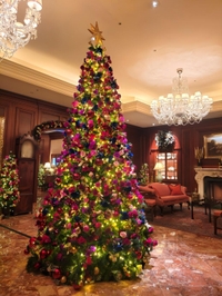 おやすみなさい🌙