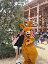 11-22と万博情報