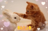 みたよ(*ˊ˘ˋ*)♡