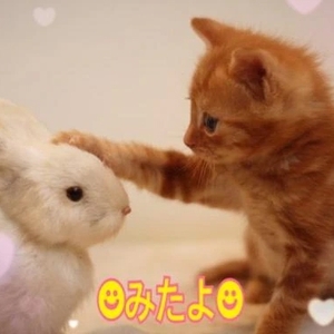 みたよ(*ˊ˘ˋ*)♡