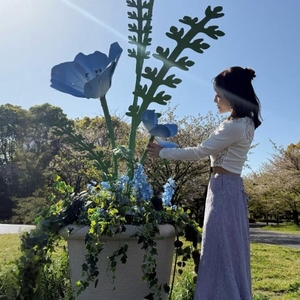 🌸桜が終わると...次は鯉のぼり？GWの予定は？