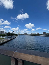 ごめんなさい。