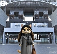 出勤します☀️