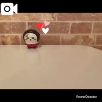 6/3 19:30〜Ｔ様お礼♥️