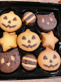 🙇🏻‍♂️🙇🏻‍♂️🙇🏻‍♂️