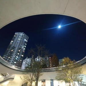 今年最後だそうです！