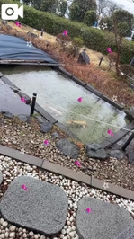 お休みします、すみません