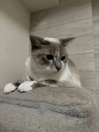 本日 明日残り1枠