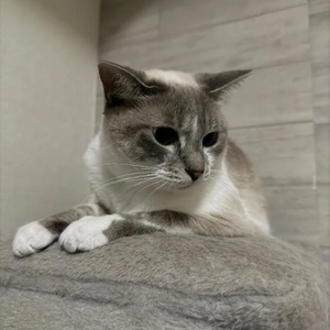 本日 明日残り1枠
