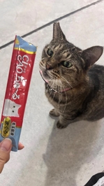 お礼が掛けてなくてごめんなさい😭