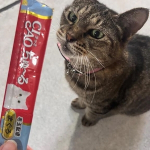 お礼が掛けてなくてごめんなさい😭