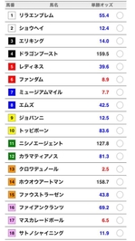 🏇　ダービー　🏇