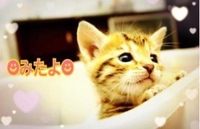 みたよ(*ˊ˘ˋ*)♡