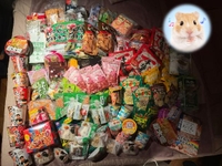 一瞬だった