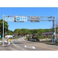 もも