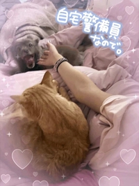 今日の...🤣✨