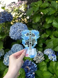 私の趣味は…⛩️♡