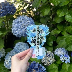 私の趣味は…⛩️♡