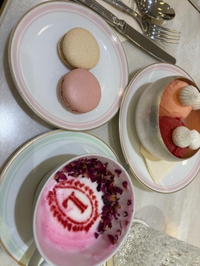 明日からデビューのウルカです🌸