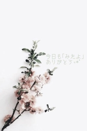 いつもありがとう 🤍