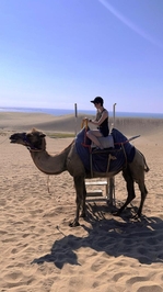 言いたい‼️だけ‼️