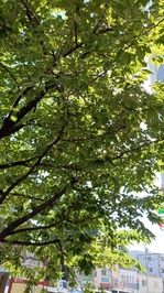 オハヨー☀