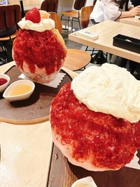 氷活🍧