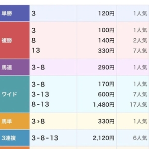 サウジカップ 2026