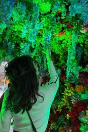 今日もよく歩いた🐾