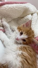 明日7/13〜7/15空き枠🈳