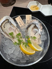 引きこもります🥲
