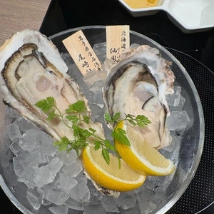 引きこもります🥲