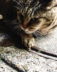 みたよ／シフト