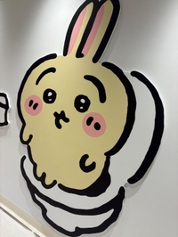 ちょろっと👒🤍