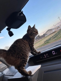 ドライブ🚗³₃